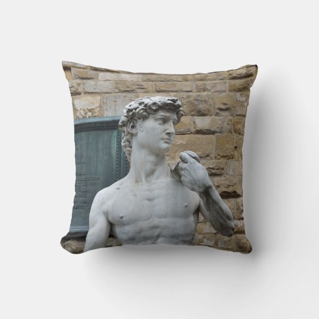 Michelangelo's David Throw Pillow (Front)