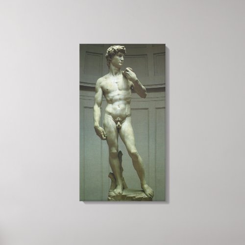 Michelangelos Statue of David Canvas Print