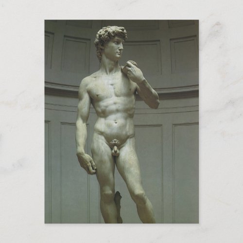 Michelangelos Statue of David Postcard