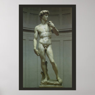 Michelangelo's Statue of David Poster
