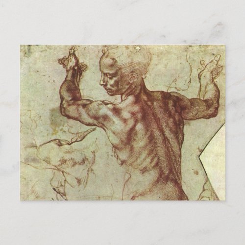 Michelangelos Study of a Libyan Sibyl Postcard