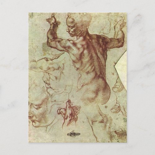 Michelangelos Study of a Libyan Sibyl Postcard