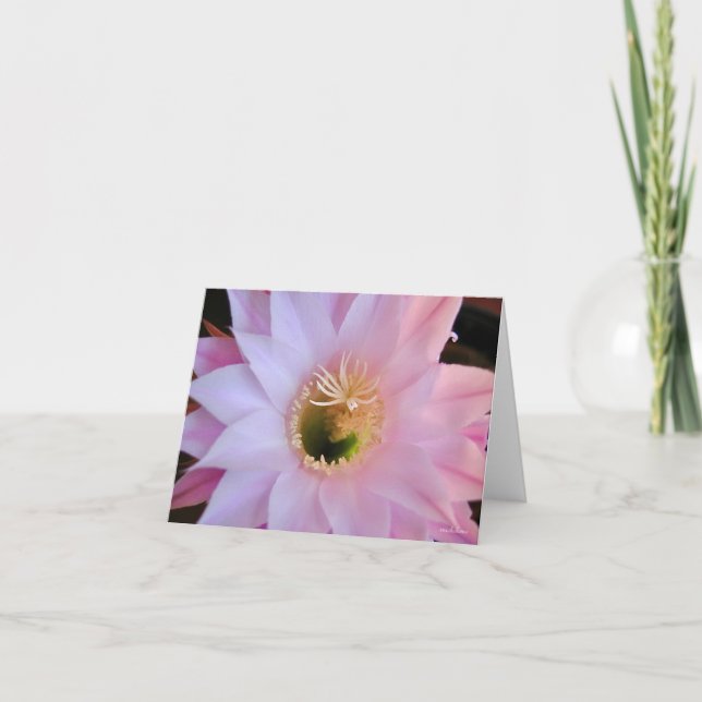 Michelle's cactus flower letterpress thank you card (Front)