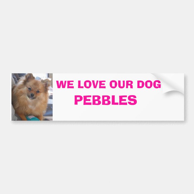 Michelle's Dog Bumper Sticker (Front)