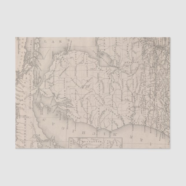 Michigan 9 tissue paper (Front)