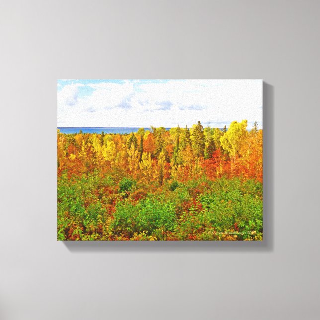 MICHIGAN AGLOW IN AUTUMN CANVAS PRINT (Front)
