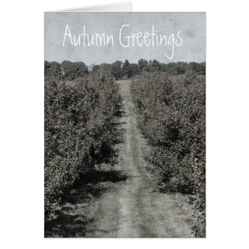 Michigan Apple Orchard Autumn Greeting Card