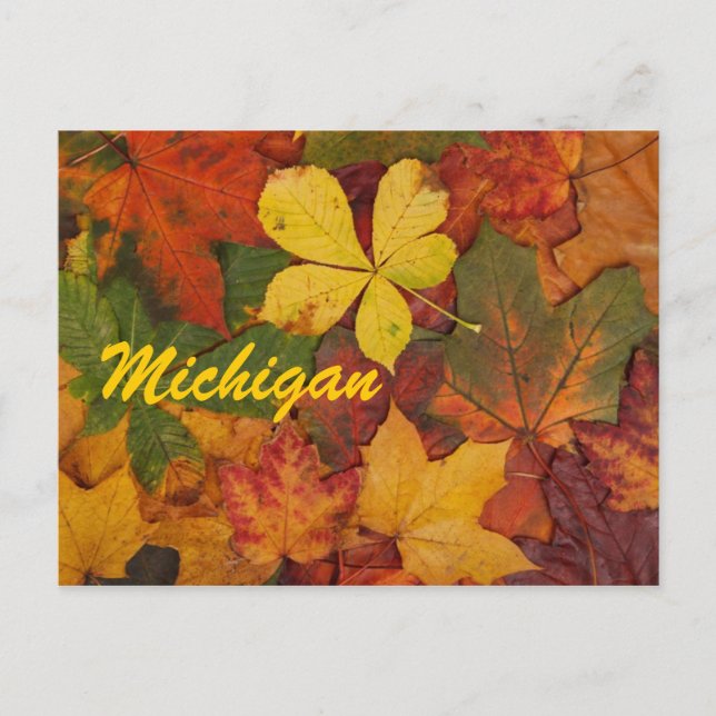 Michigan Autumn Leaves Postcard (Front)