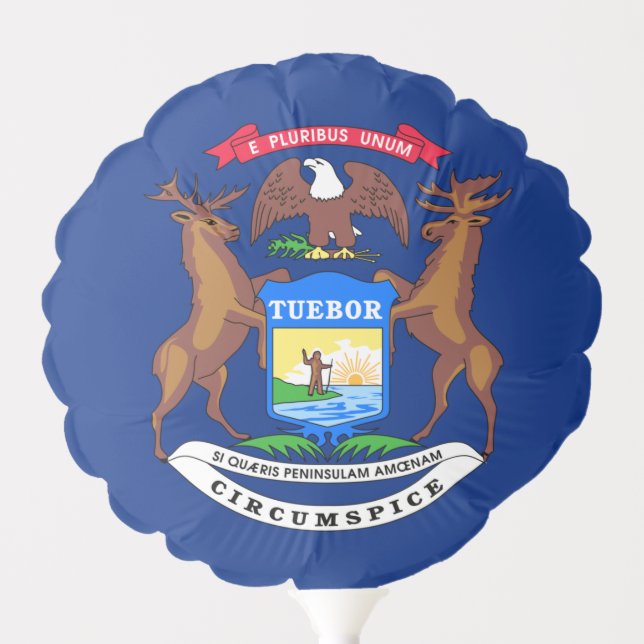 Michigan Balloon & Michigan Flag Party / USA (Front)