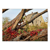 Michigan Barn and Fall Color (Front Horizontal)