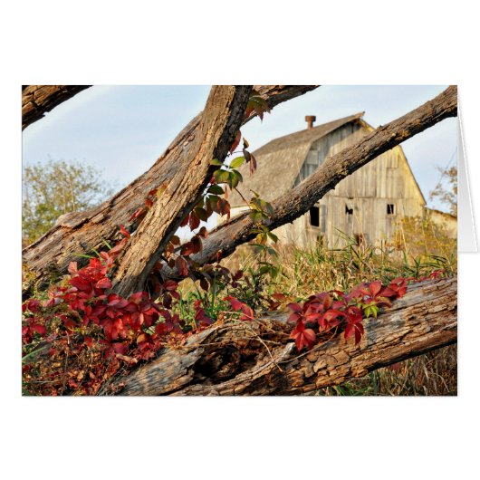 Michigan Barn and Fall Color (Front Horizontal)