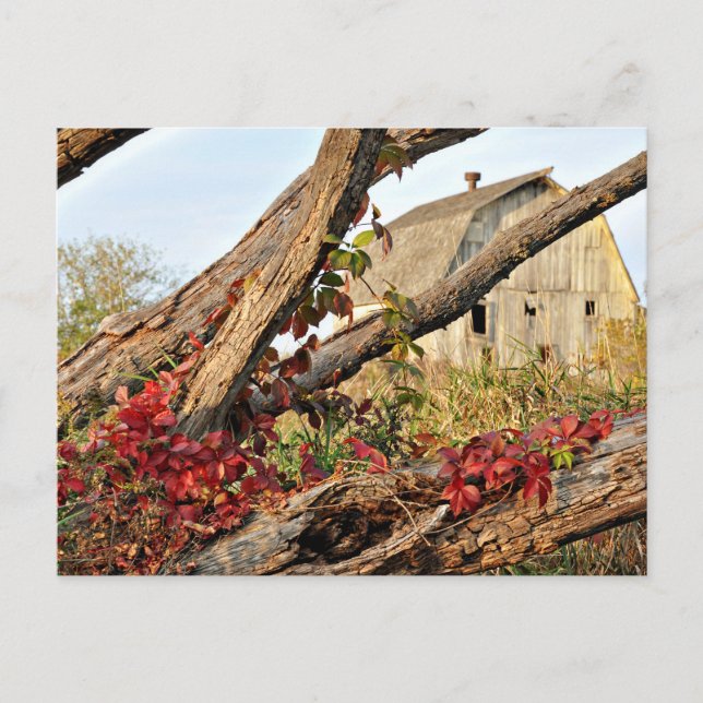 Michigan Barn and Fall Color Postcard (Front)