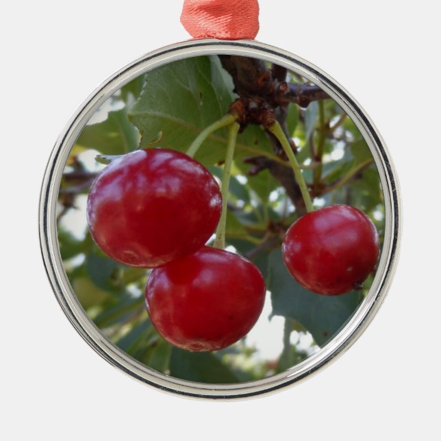 Michigan Cherries Metal Ornament (Front)