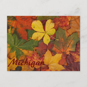 Michigan Colorful Autumn Leaves Postcard