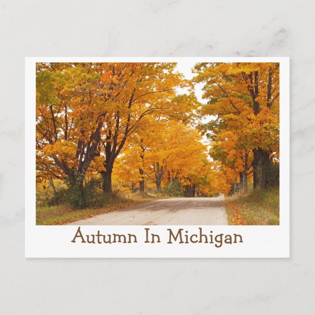 "MICHIGAN COUNTRY ROAD ALL AGLOW WITH FALL COLOR" POSTCARD (Front)
