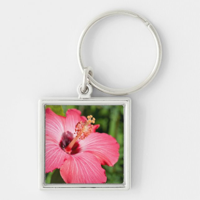 Michigan, Dearborn. Detail Of Pink Hibiscus Keychain (Front)