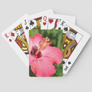 Michigan, Dearborn. Detail Of Pink Hibiscus Poker Cards