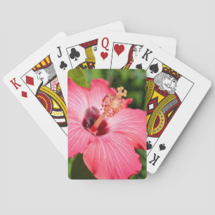 Michigan, Dearborn. Detail Of Pink Hibiscus Poker Cards