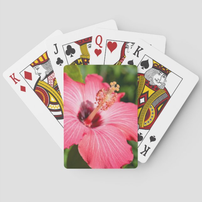 Michigan, Dearborn. Detail Of Pink Hibiscus Poker Cards (Back)