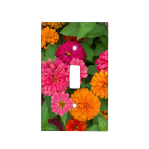 Michigan, Dearborn, Greenfield Village. Close up Light Switch Cover