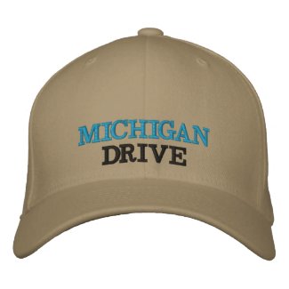 Michigan Drive Flexfit Wool Cap
