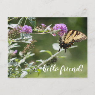 https://rlv.zcache.com/michigan_eastern_swallowtail_butterfly_postcard-re68d07367ff947e7b99c2e81bf26db96_ucbjp_307.jpg