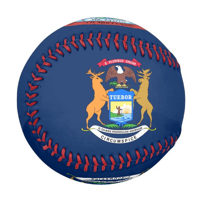 Michigan flag baseball (Front Left)