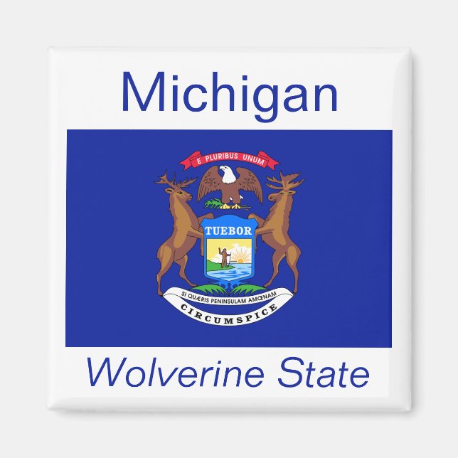 Michigan Flag Magnet (Front)