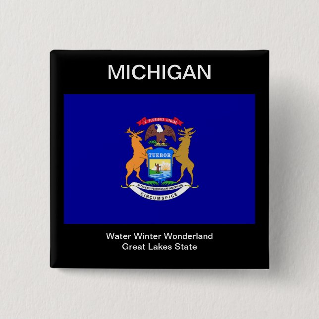 Michigan Flag Pinback Button (Front)