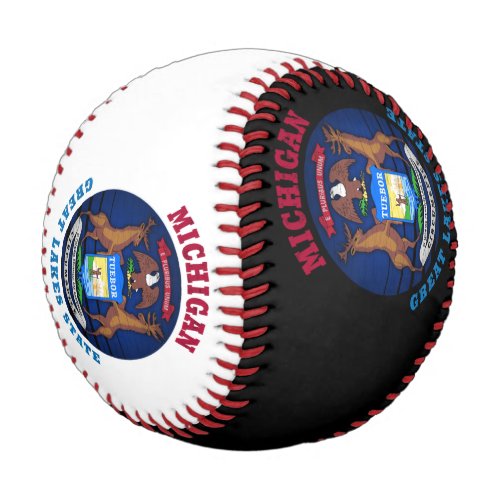 MICHIGAN GREAT LAKES STATE FLAG BASEBALL