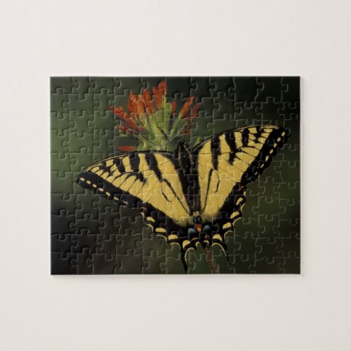 Michigan Houghton Lake Tiger Swallowtail on Jigsaw Puzzle