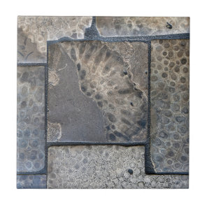 Michigan Petoskey Stone Ceramic Tile
