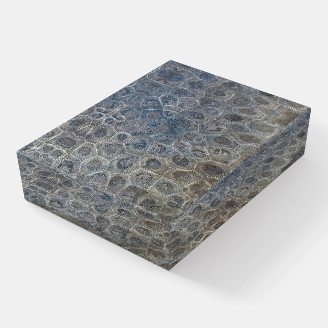 Michigan Petoskey Stone Design  Paperweight (Angled)
