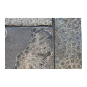 Michigan Petoskey Stone Design Placemat