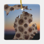 Michigan Petoskey Stone, Great Lakes mitten  Ceramic Ornament