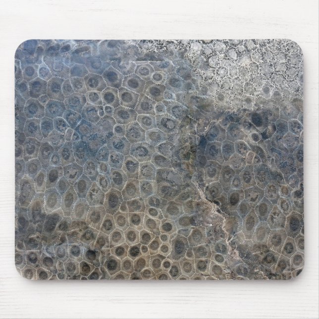 Michigan Petoskey Stone Pattern  Mouse Pad (Front)