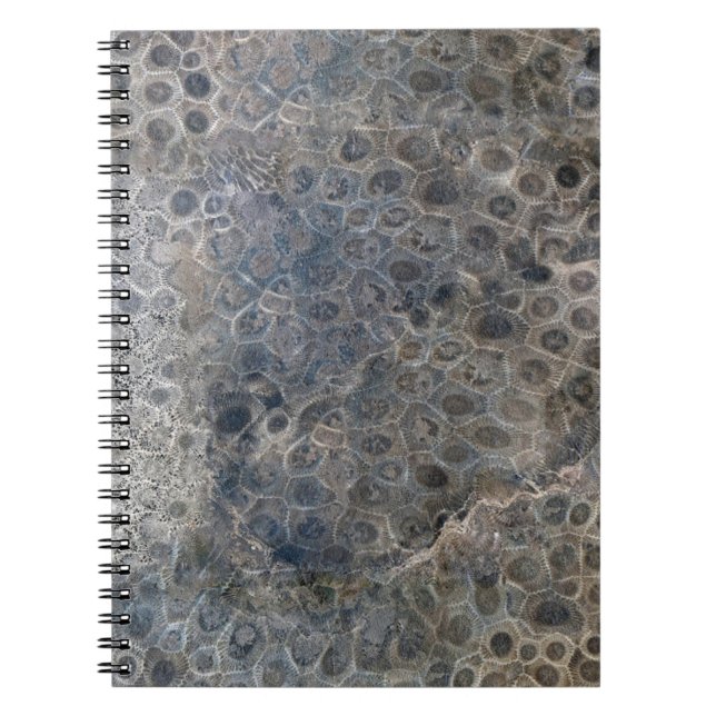Michigan Petoskey Stone Pattern   Notebook (Front)