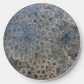 Michigan Petoskey Stone Pattern Wireless Charger (Front)