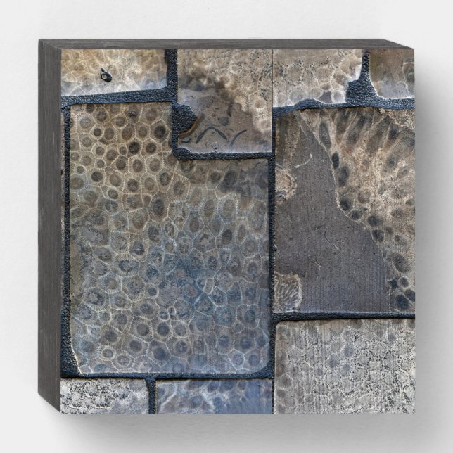 Michigan Petoskey Stone Wooden Box Sign (Front Horizontal)