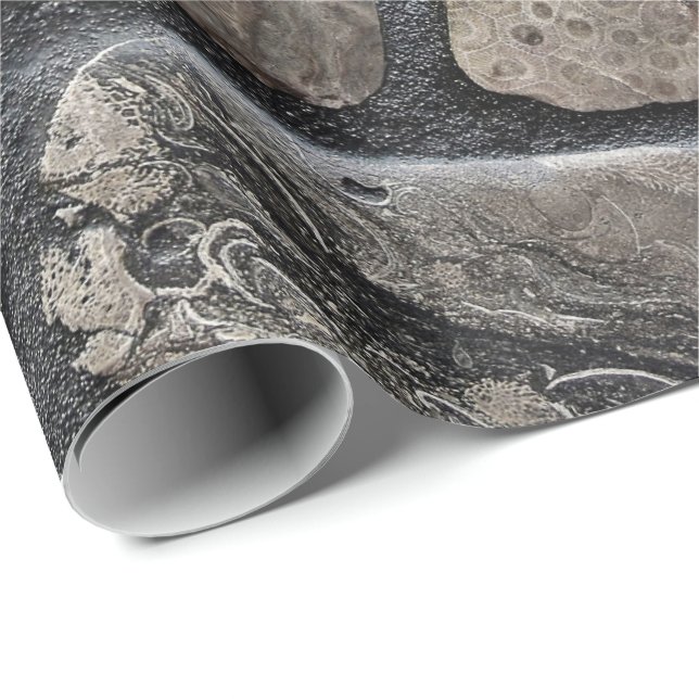 Michigan Petoskey Stones Wrapping Paper (Roll Corner)