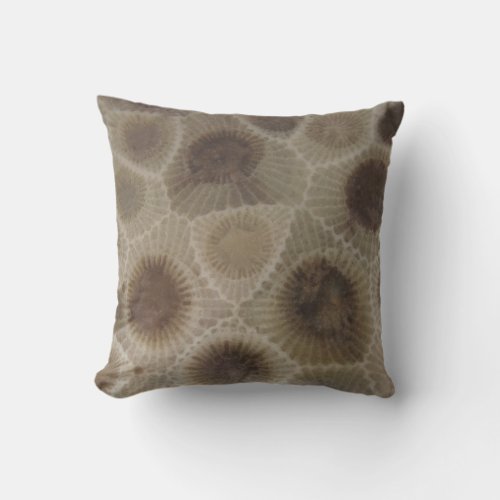 Michigan Petosky Stone Outdoor Pillow