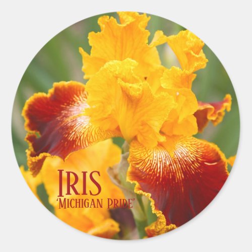 Michigan Pride German iris Classic Round Sticker