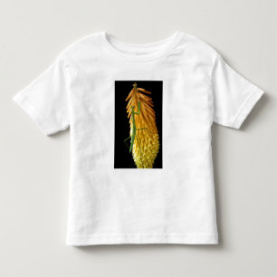 Michigan, Rochester Hills. Praying Mantis on Red Toddler T-shirt