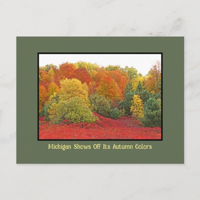 Michigan Shows Off It's Autumn Colors Postcard (Front)