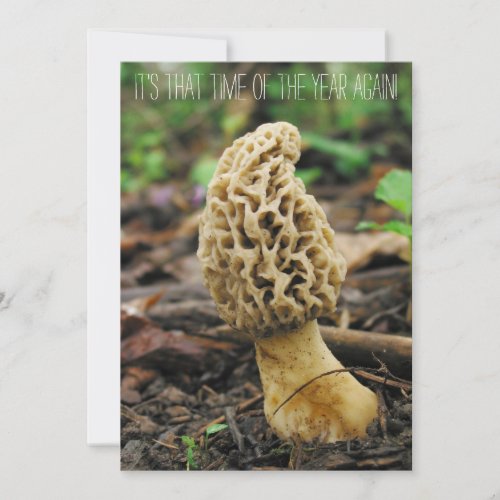 Michigan Spring Morel Mushroom Hunting Invitation