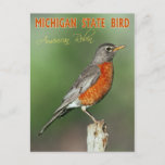 Michigan State Bird - American Robin Postcard at Zazzle