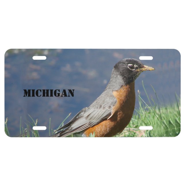 Michigan State Bird License Plate (Front)