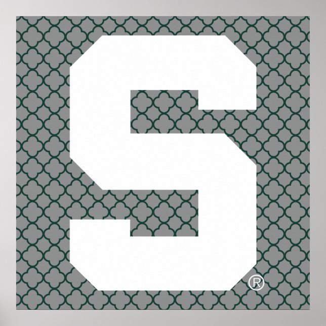 Michigan State Block S Poster (Front)