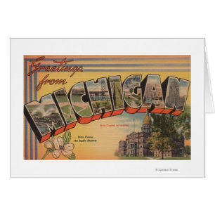 Michigan (State Capital/Flower) Cards