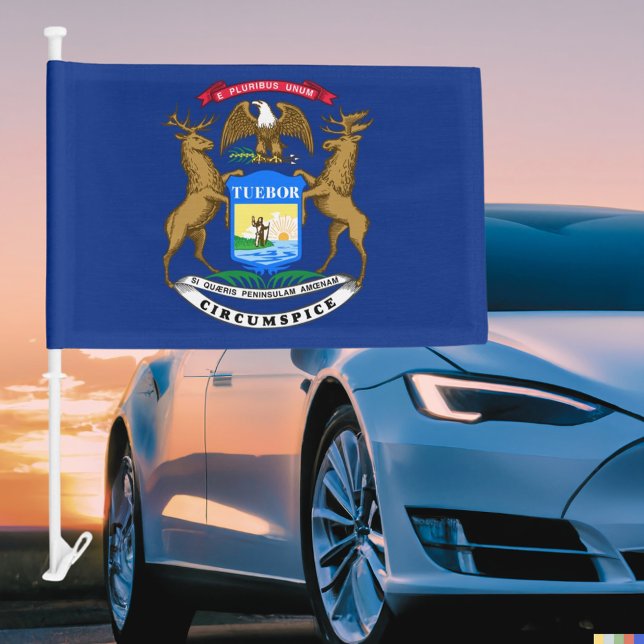 Michigan State Car Flag (Michigan State Car Flag)